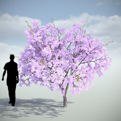 VizPark Real Trees Sakura Umbrella V3 